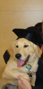 Puppy School graduate, Allie
