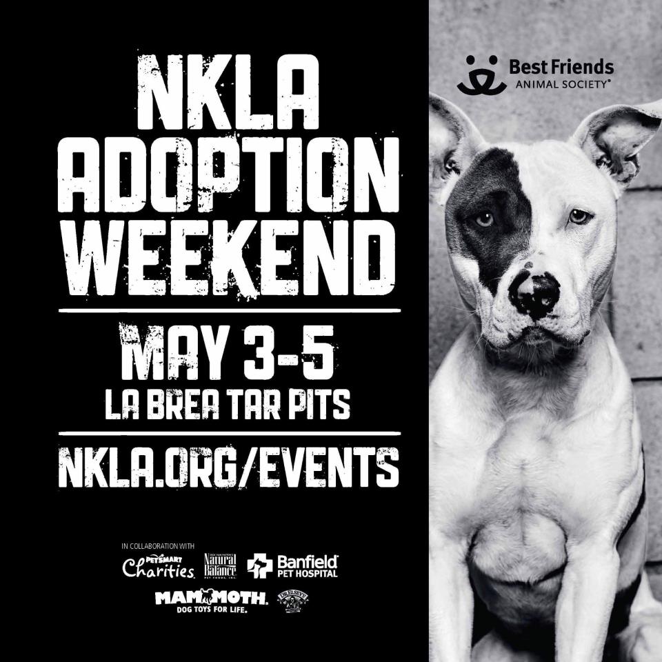 NKLA Adoption Weekend