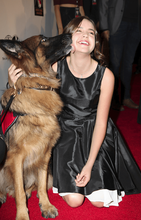 Hero Dog Bronx (L) and actress Bailee Madison (R) showing each other some love at the American Humane Association Hero Dog Awards 2013 held at the Beverly Hilton Hotel on Saturday, Oct. 5, 2013, in Beverly Hills, California. 