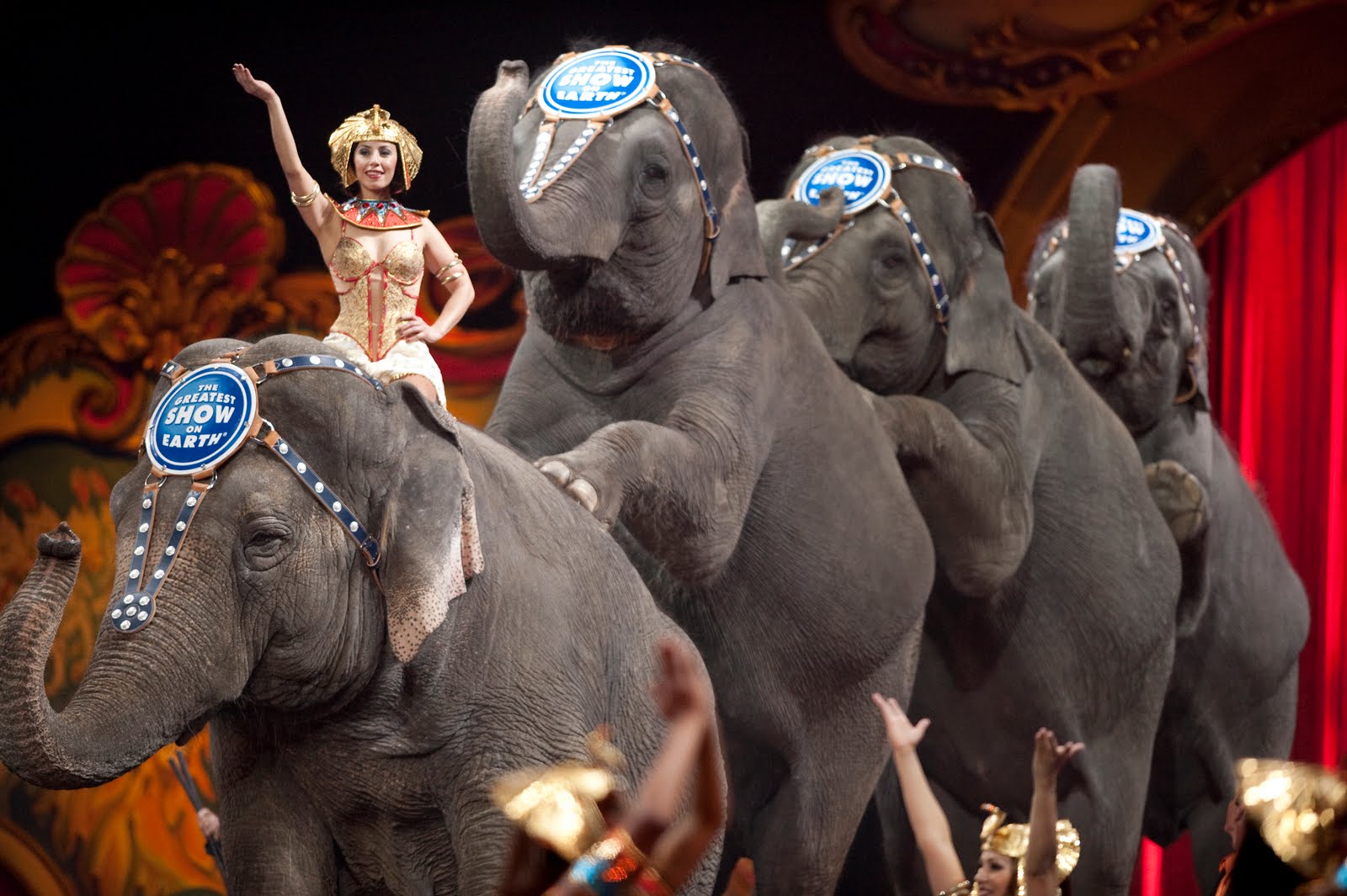 ringling-bros-circus-stop-elephant-acts-by-2018