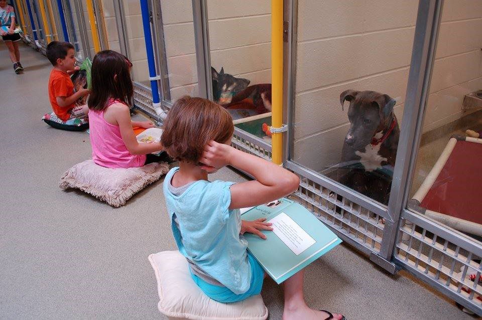 kids dogs reading