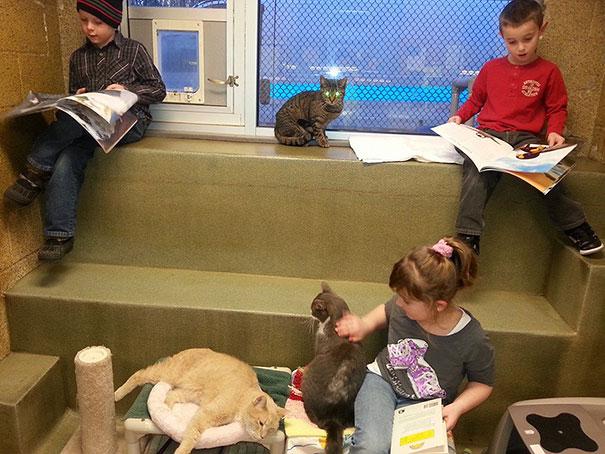 kids reading to shelter cats