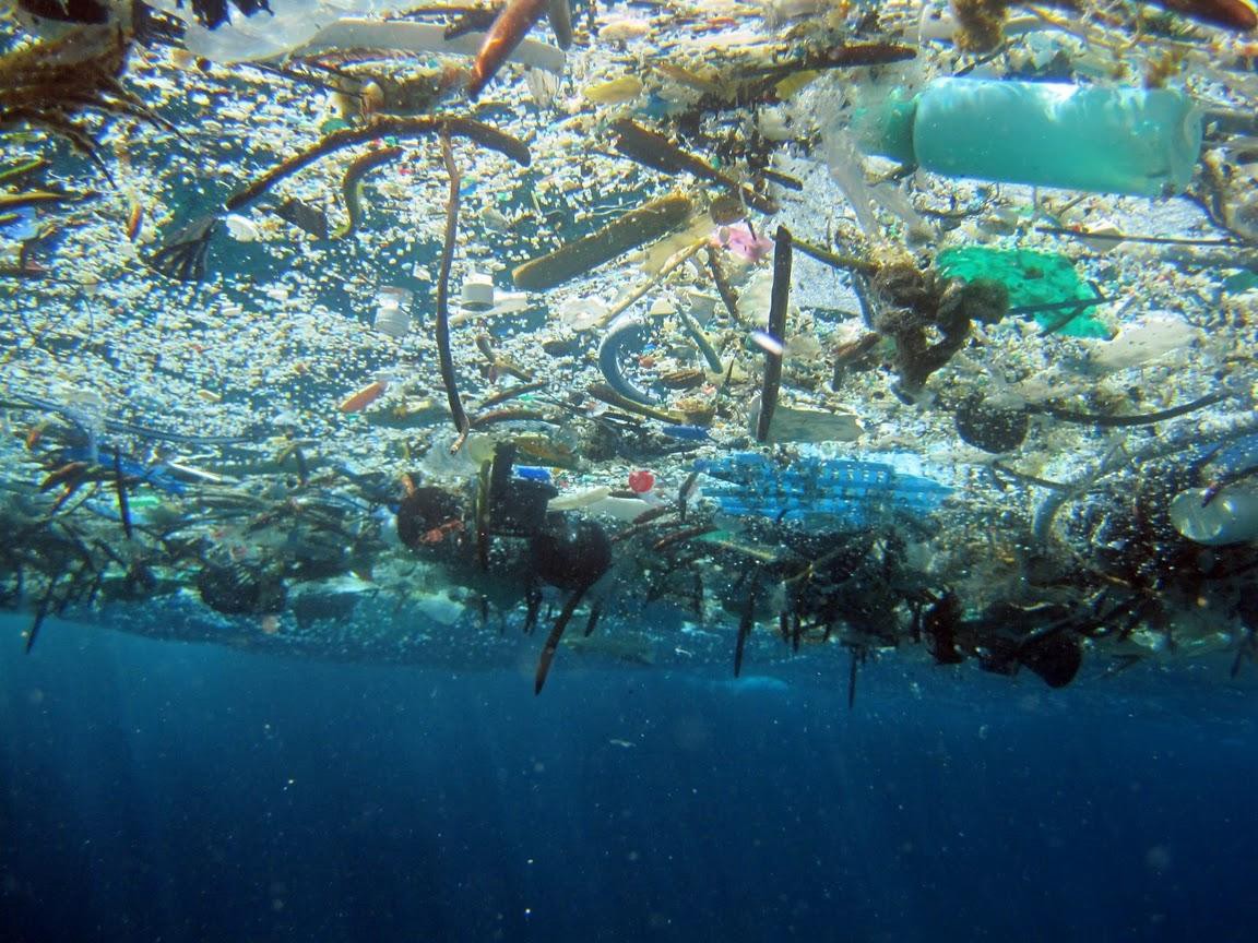 plastic in the ocean