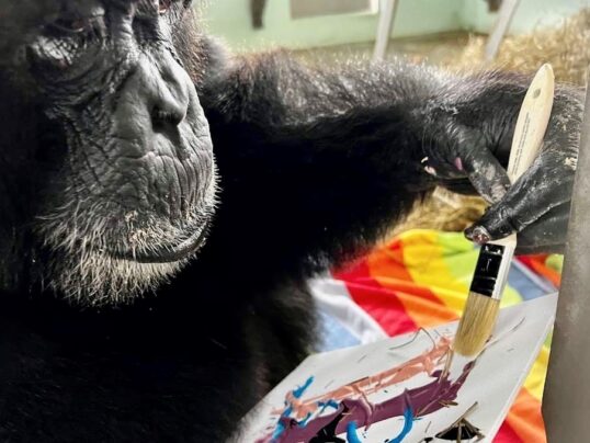 Joaquin Phoenix + Rooney Mara Paint w Apes